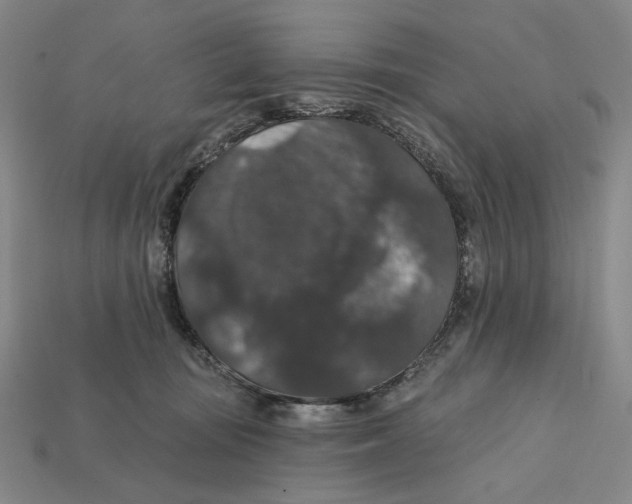 X0000112430371200909111035
