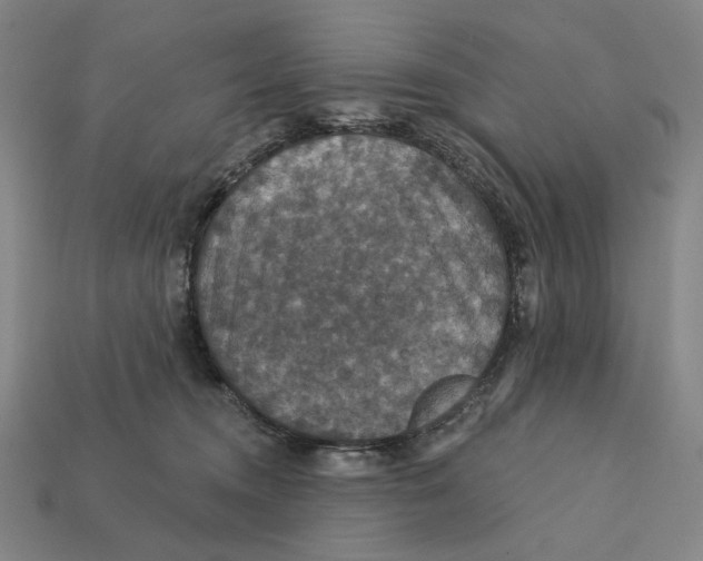 X0000112430372200909111035