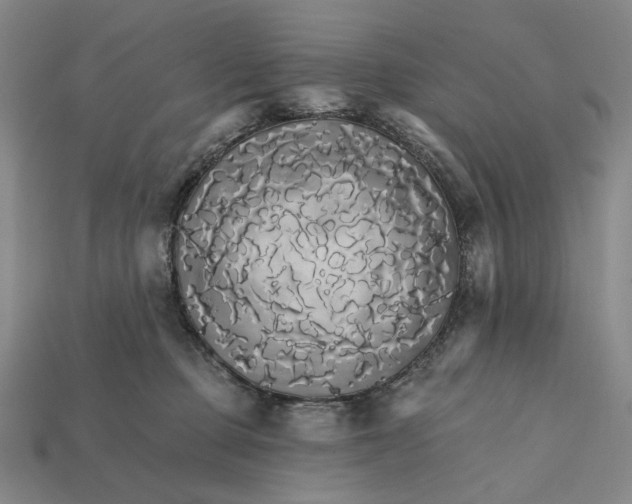 X0000112430373200909111035