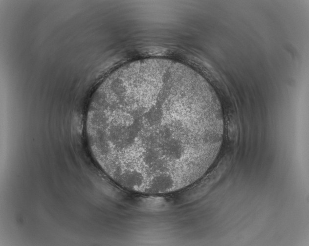 X0000112430374200909111035