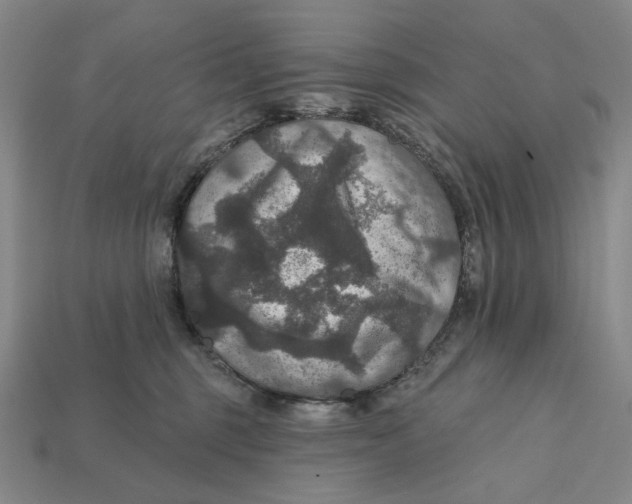 X0000112430375200909111035