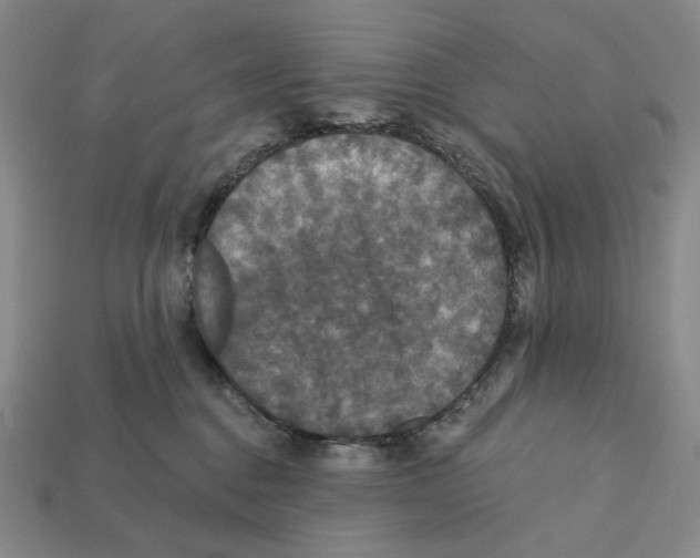 X0000112430376200909111035
