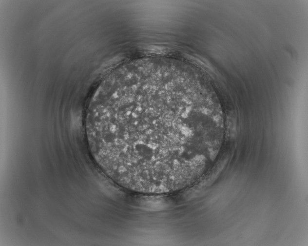X0000112430377200909111035