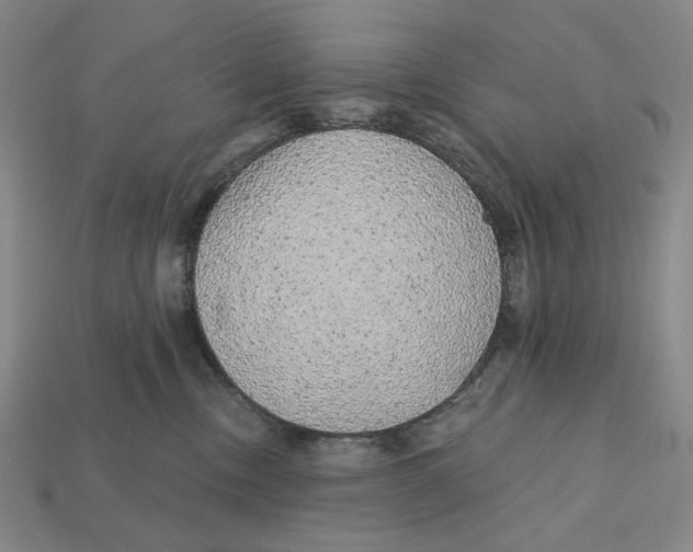X0000112430378200909111035