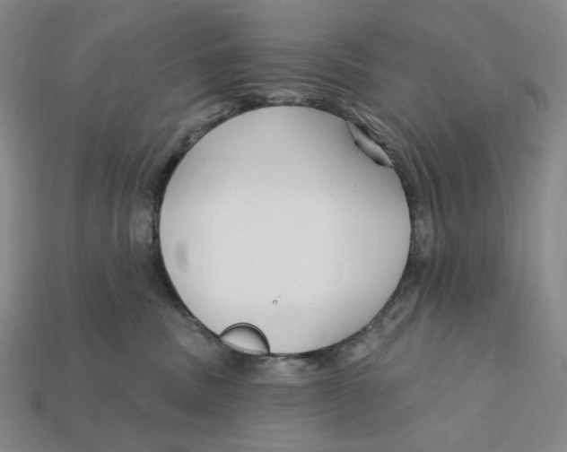 X0000112430379200909111035
