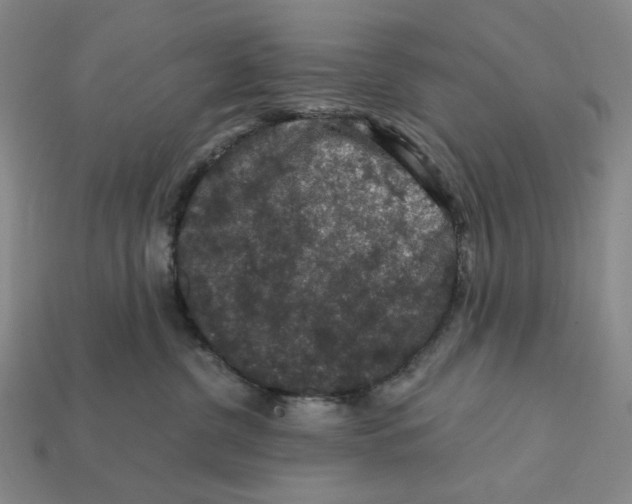 X0000112430380200909111035