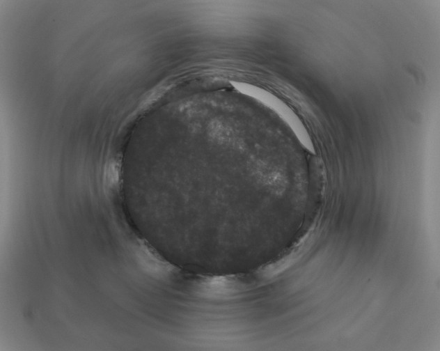 X0000112430382200909111035