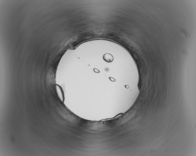 X0000112430384200909111035