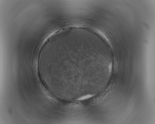 X0000112430386200909111034