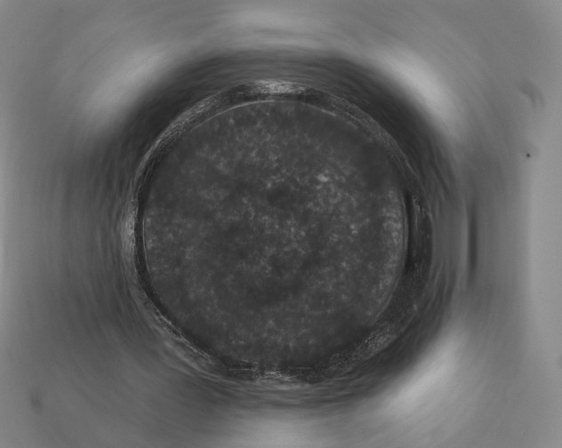 X0000112430387200909111034