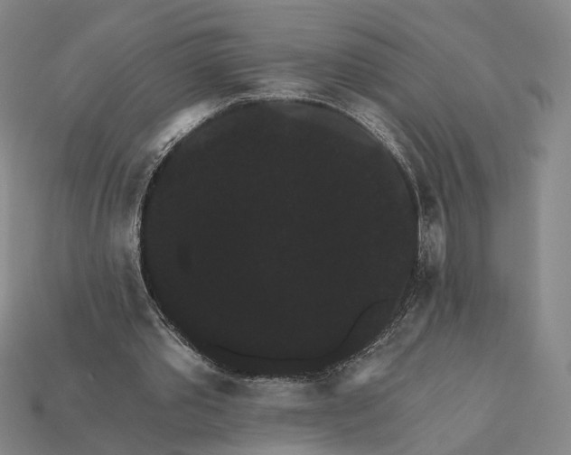 X0000112430389200909111034