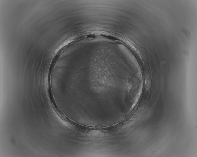 X0000112430390200909111034