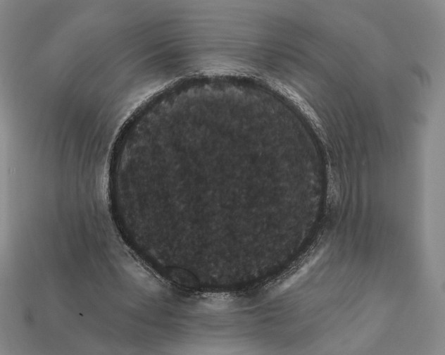 X0000112430391200909111034