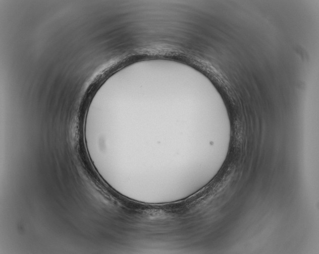 X0000112430392200909111034