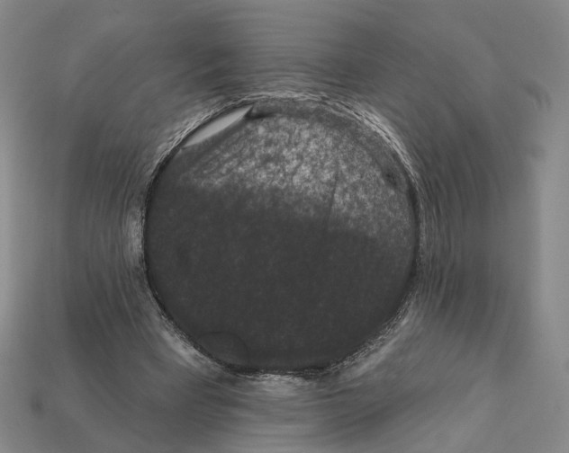 X0000112430393200909111034