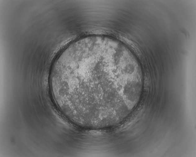 X0000112430394200909111034