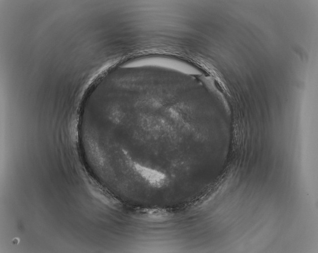 X0000112430395200909111034