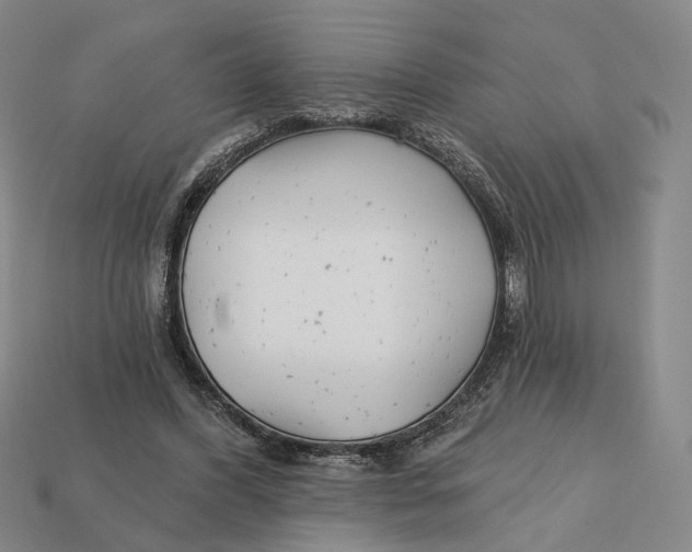 X0000112430396200909111034