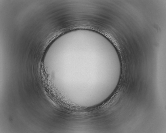 X0000112430397200909111034
