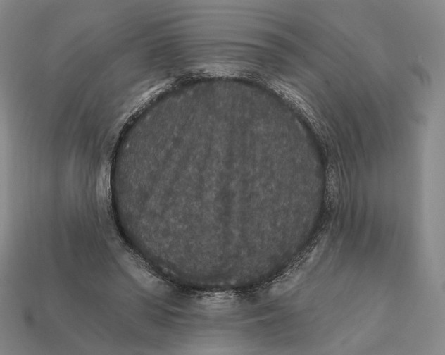 X0000112430398200909111034
