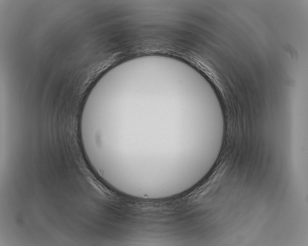 X0000112430401200909111034