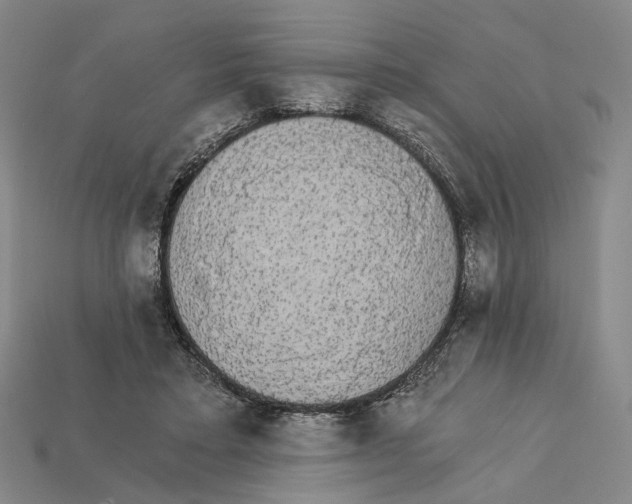 X0000112430403200909111034