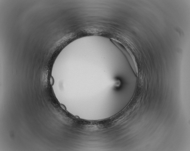 X0000112430404200909111034