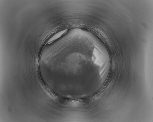 X0000112430405200909111034