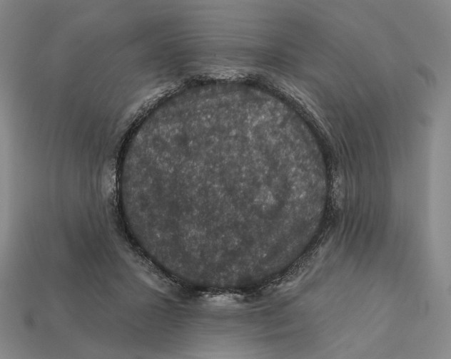 X0000112430407200909111034