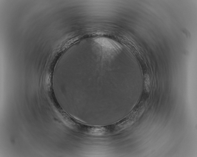 X0000112430410200909111034