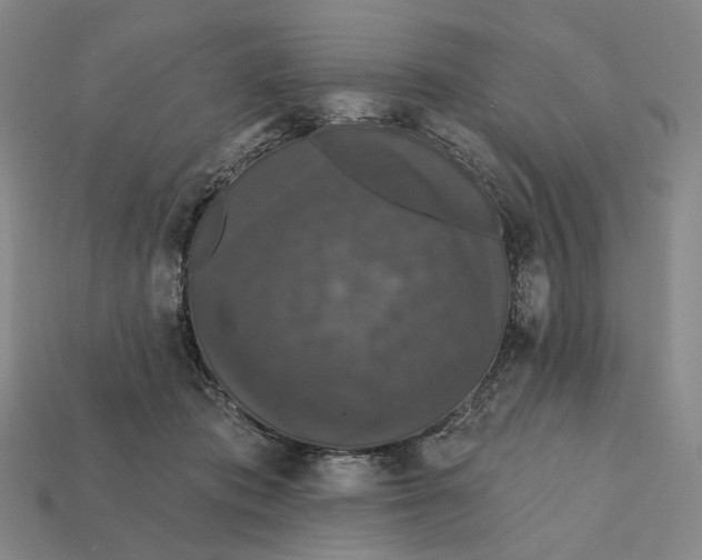 X0000112430413200909111034