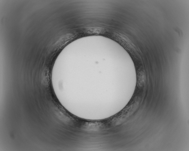 X0000112430414200909111034