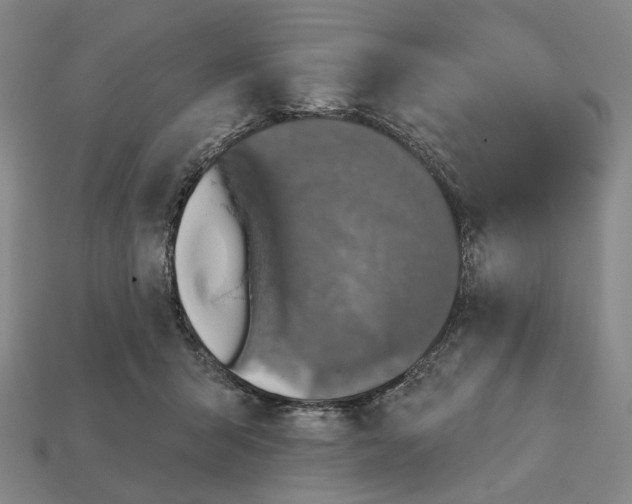 X0000112430415200909111034