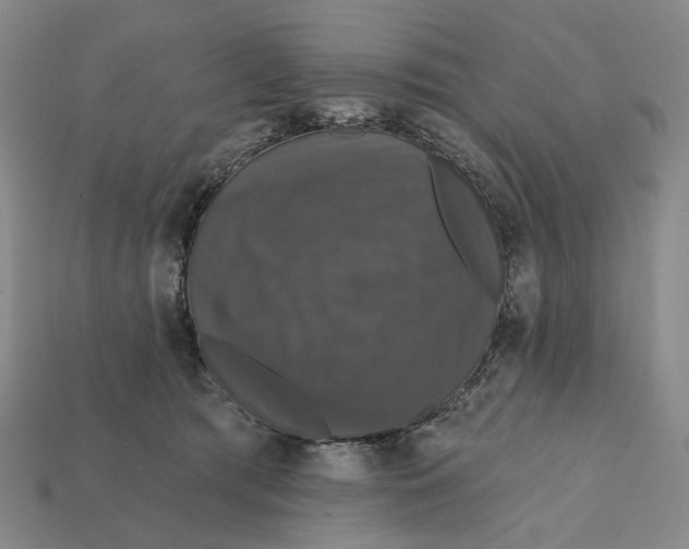 X0000112430417200909111034