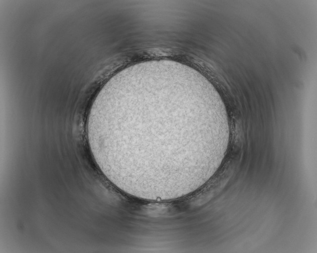 X0000112430418200909111034