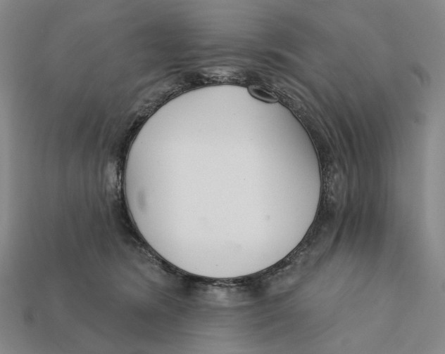 X0000112430420200909111034
