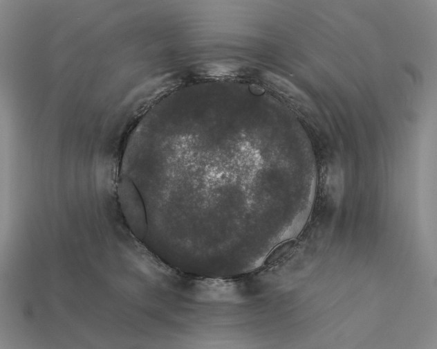 X0000112430421200909111034