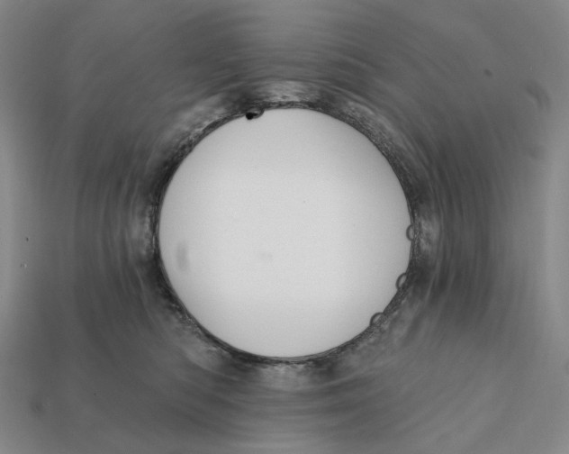 X0000112430422200909111034