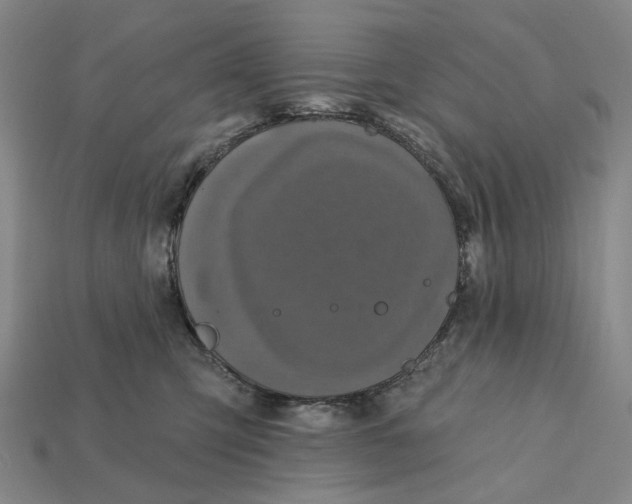 X0000112430423200909111034