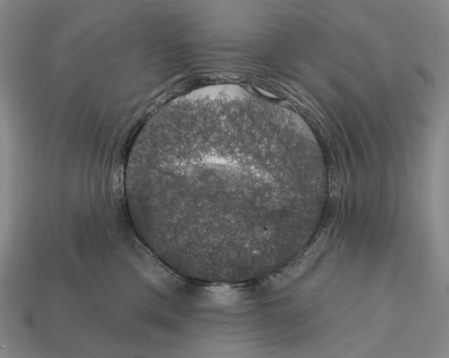 X0000112430425200909111034