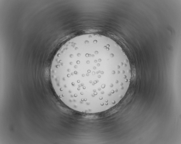 X0000112430426200909111034