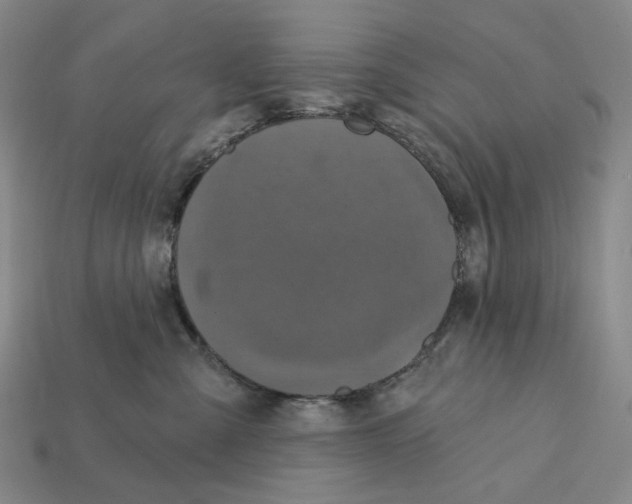 X0000112430427200909111034