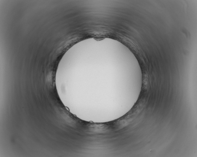 X0000112430428200909111034