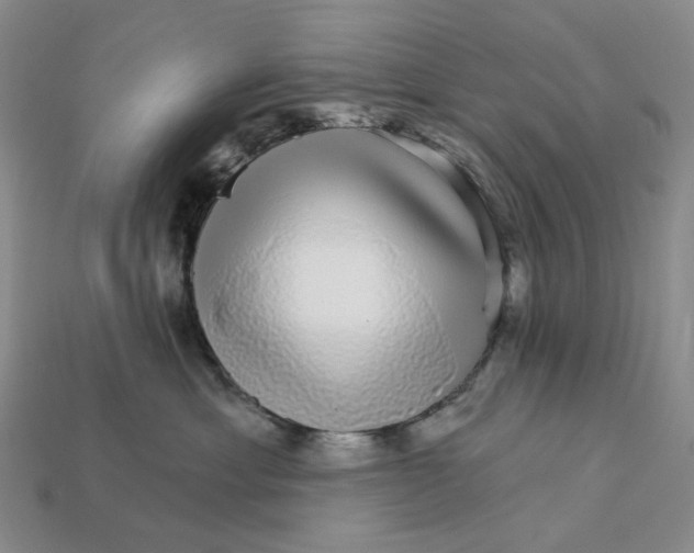 X0000112430429200909111033
