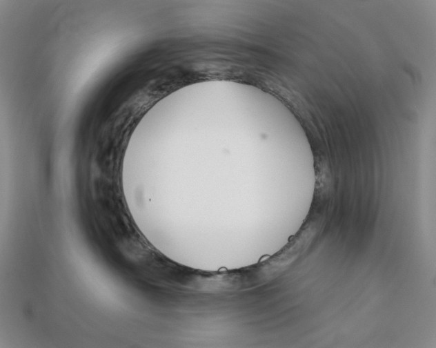 X0000112430430200909111033