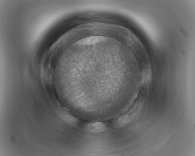 X0000112430431200909111033