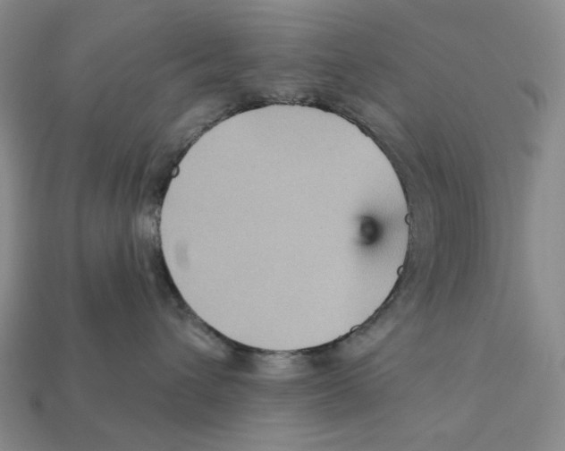 X0000112430432200909111033