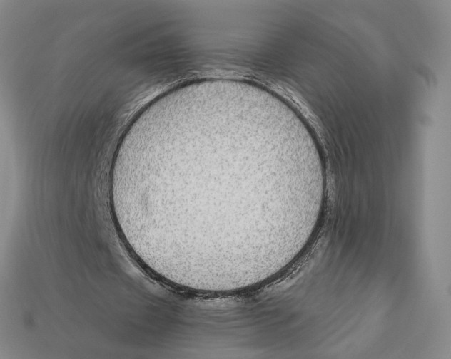 X0000112430433200909111033