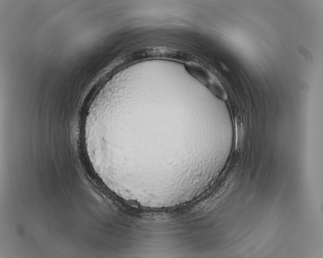 X0000112430435200909111033