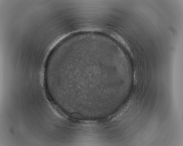 X0000112430436200909111033